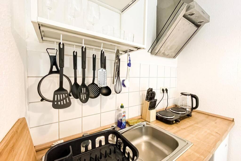 Apartment Am Auensee Mit Grosser Terrasse & Privat-Parkplatz Leipzig Buitenkant foto